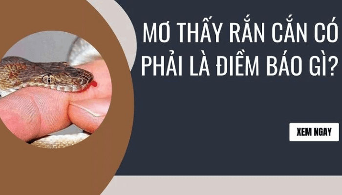 Chiêm bao thấy rắn cắn chảy máu