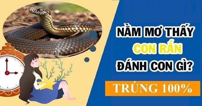 Nằm mơ thấy rắn đánh số mấy chuẩn xác nhất?