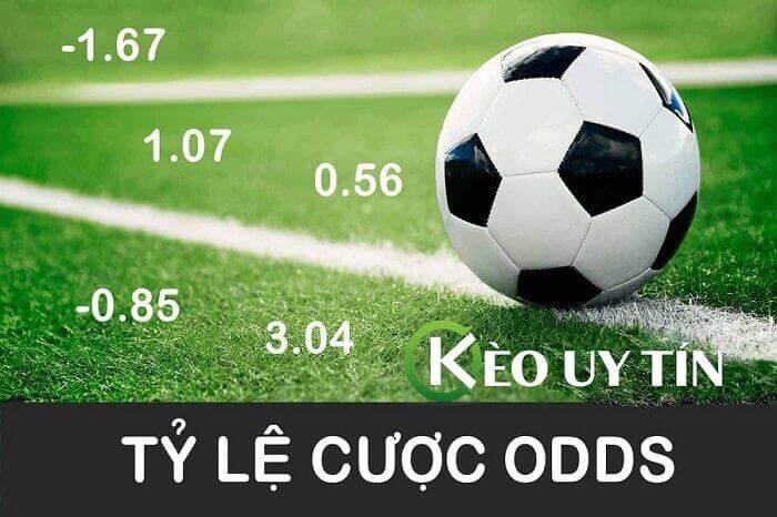 Cách soi kèo odds chuẩn xác có một không hai