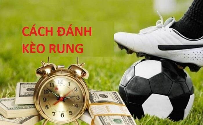 Hướng dẫn cách xem kèo rung hiệu quả 